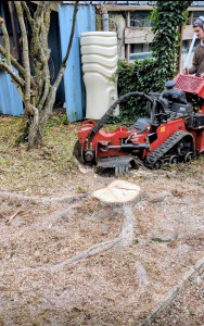 Photo de galerie - Rogneuse 
une des meilleures solutions et rapides pour renier tout type de tronc