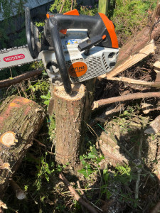 Photo de galerie - Pendant abattage