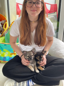 Photo de galerie - Garde de petits chiots 