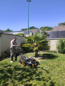 Photo de galerie - Enfin agréable de pouvoir tondre au soleil