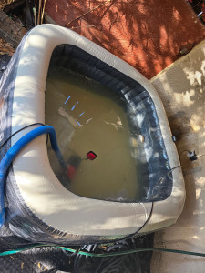 Photo de galerie - Entretien piscine