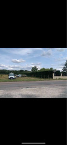 Photo de galerie - Taille de thuyas 