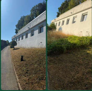 Photo de galerie - Débroussaillage