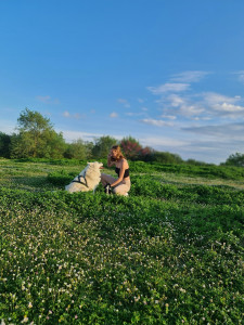 Photo de galerie - Balade avec un Husky ??   Promenade d’un husky de 2 ans, plein d’énergie, lors d’une sortie dans un grand espace vert. Moment sportif et agréable, adapté à ses besoins d’exercice et de stimulation.