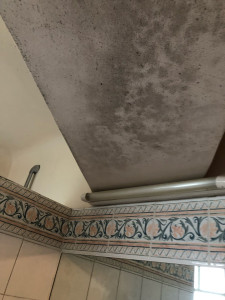 Photo de galerie - Moisissures toutes la salle ban 