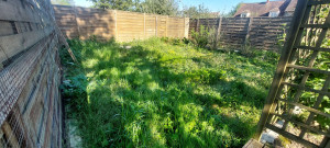 Photo de galerie - Tonte de pelouse - Débroussaillage