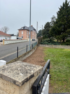 Photo de galerie - Elagage et coupe d'arbres