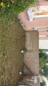 Photo de galerie - Remise en état 