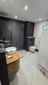 Photo de galerie - Rénovation entière d'une salle de bain