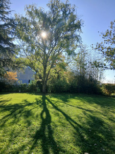 Photo de galerie - Entretien a l’année de votre jardin ?