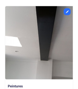 Photo de galerie - Peinture mur et métaux 