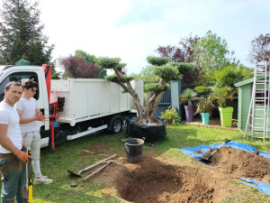 Photo de galerie - Paysagiste - Aménagement du jardin