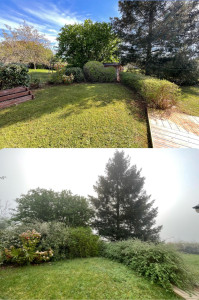 Photo de galerie - Taille de haies et d'arbustes