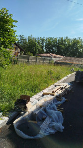 Photo de galerie - Tonte de pelouse - Débroussaillage