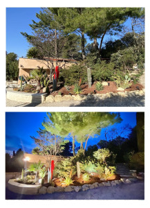 Photo de galerie - Paysagiste - Aménagement du jardin
