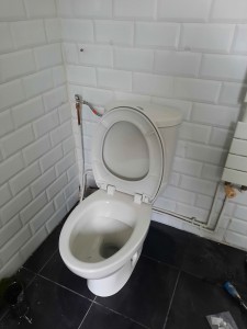 Photo de galerie - Remplacement WC suspendu 