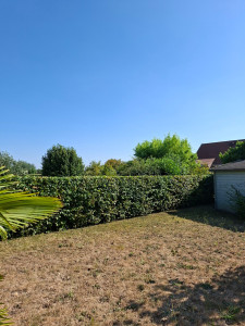 Photo de galerie - Taille de haie