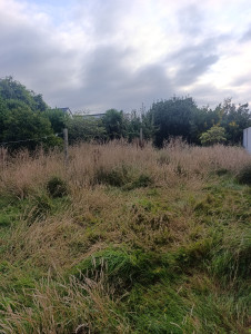 Photo de galerie - Débroussaillage 