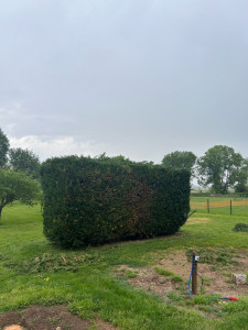 Photo de galerie - Avant