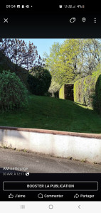 Photo de galerie - Tonte taille petit élagage 