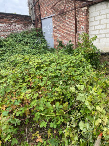 Photo de galerie - Nettoyage