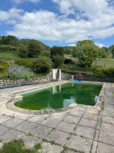 Photo de galerie - Belle piscine demandant une attention particulière 