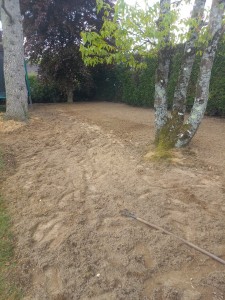 Photo de galerie - Paysagiste - Aménagement du jardin