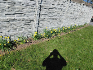 Photo de galerie - Paysagiste - Aménagement du jardin