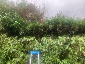 Photo de galerie - Taille 