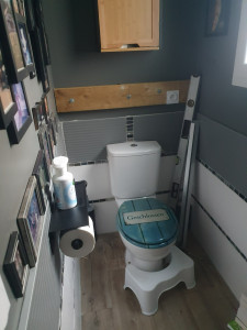 Photo de galerie - Remplacement WC