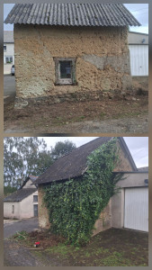 Photo de galerie - Nettoyage du lierre.
