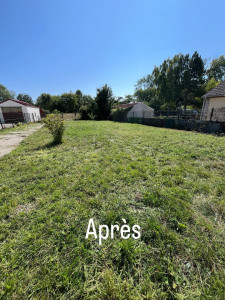 Photo de galerie - Tonte de pelouse - Débroussaillage