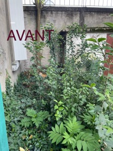 Photo de galerie - Jardinier