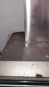 Photo de galerie - Mission dégraissage 
