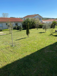 Photo de galerie - Tonte de pelouses 