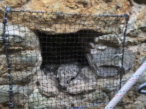 Photo de galerie - Pose de filets et de pics anti pigeons.