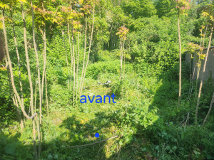 Photo de galerie - Tonte de pelouse - Débroussaillage