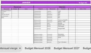 Photo de galerie - Aide a la gestion budgetaire 
aide au rééquilibrage budgetaire 