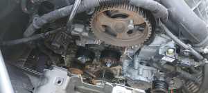 Photo de galerie - Distribution 