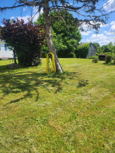 Photo de galerie - Tonte de pelouse - Débroussaillage