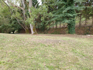 Photo de galerie - Débroussaillage de ce terrain avec une tondeuse débroussailleuse et débroussailleuse 