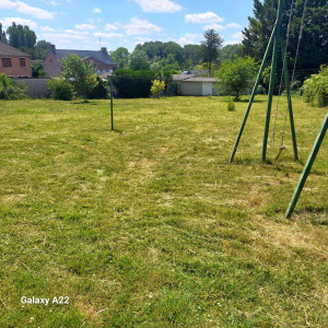 Photo de galerie - Débroussaillage de terrains envahis par la végétation