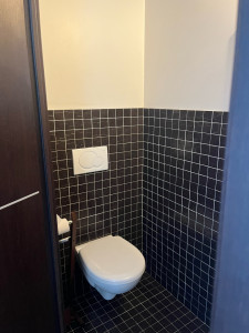 Photo de galerie - Nettoyage toilettes, plus calcaire