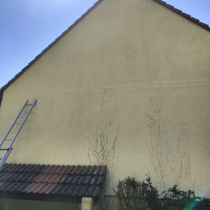 Photo de galerie - Nettoyage et traitement d'un pignon 

