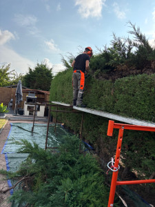 Photo de galerie - En train de rabattre une haie 