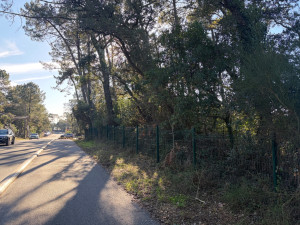 Photo de galerie - Elagague chaîne lieges 