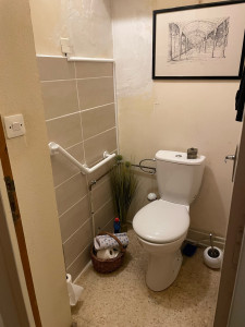 Photo de galerie - Pose wc + barre d’appuis 