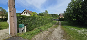 Photo de galerie - Taille de haie +70m 