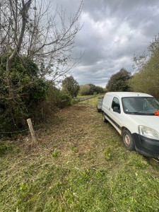 Photo de galerie - Rafraîchissement de buissons 