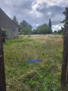 Photo de galerie - Tonte de pelouse - Débroussaillage